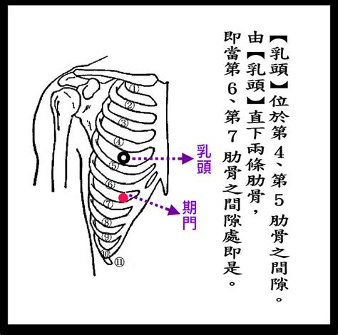 旗門穴|期門穴:基本簡介,名解,臨床治療,辯證,治療,相關連結,肝。